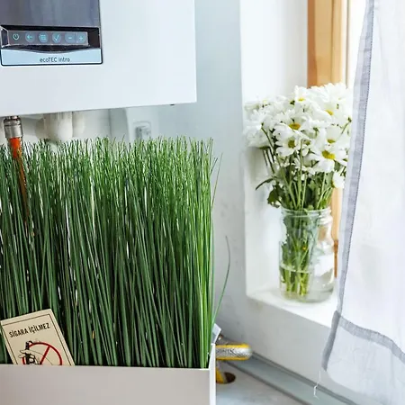 아파트 Comfortable Apartment In The Old City Of Istanbul 이스탄불