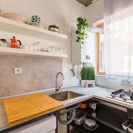Daire Comfortable Apartment In The Old City Of Istanbul İstanbul